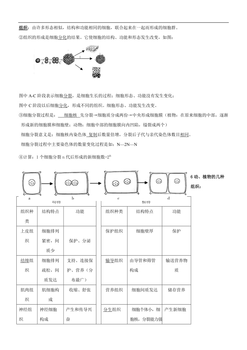 广东中考生物复习题纲.doc_第3页