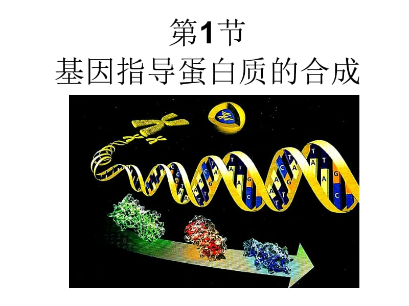 基因指导蛋白质的合成一轮复习名师制作优质教学资料.ppt_第3页