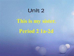 Unit 2 第二课时 Section A 1a-2d名师制作优质学案.ppt