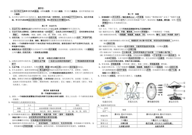 2017-2018学年第一学期人教版八年级生物上册复习提纲名师制作优质教学资料.doc_第3页