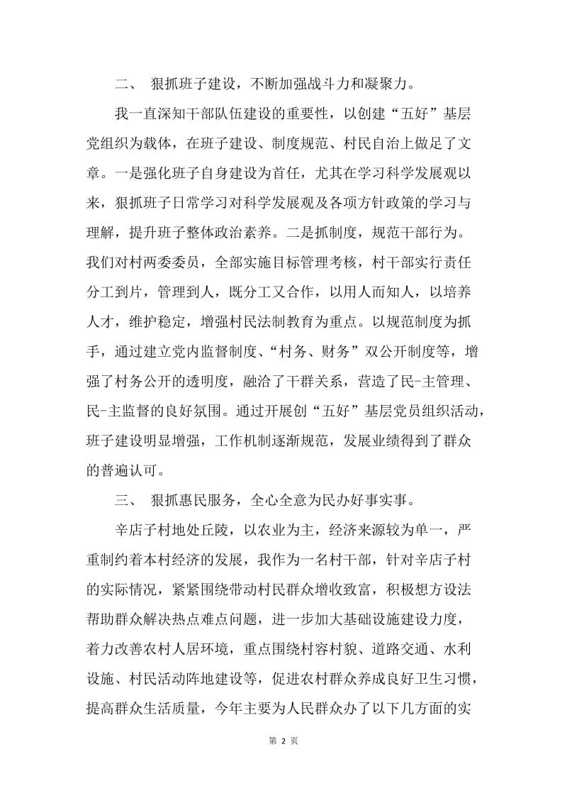 【工作总结】20XX村党支部书记工作总结范文.docx_第2页