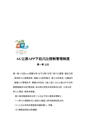 AG亚游APP下载风险控制管理制度名师制作优质教学资料.doc