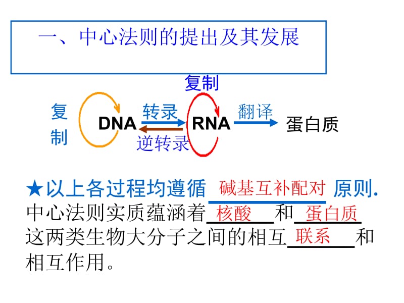 医学课件第4章基因的表达第2节基因对性状的控制.ppt_第3页