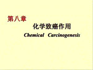 医学课件第八章化学致癌作用ChemicalCarcinogenesis.ppt