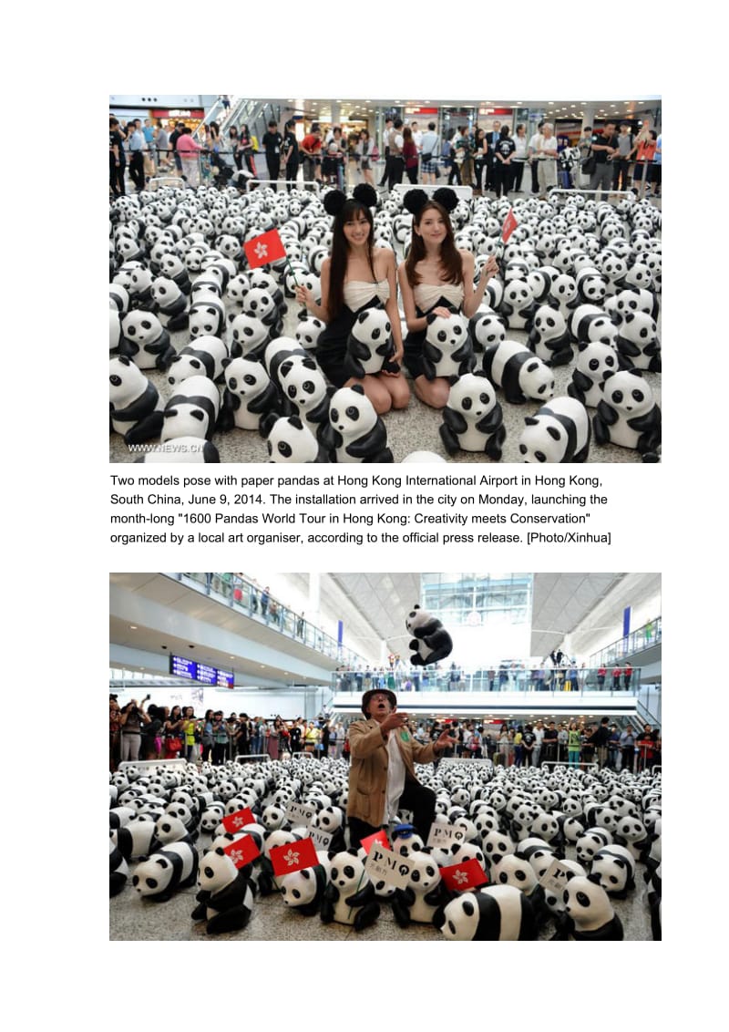 最新1600只纸熊猫准备环游香港宣扬环保汇编.docx_第2页