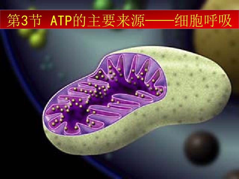 医学课件第3节ATP的主要来源细胞呼吸.ppt_第1页