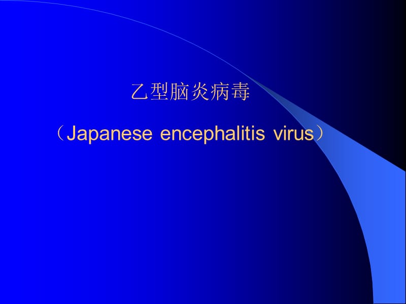 医学课件第30章黄病毒Flavivirus.ppt_第2页