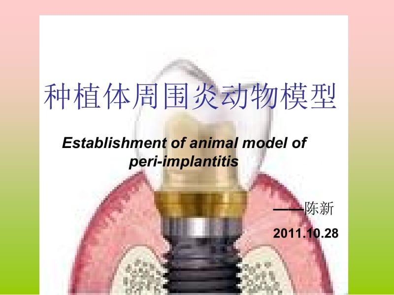 医学课件种植体周围炎动物模型建立.ppt_第1页