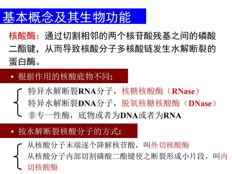 医学课件第二章基因工程的酶学基础.ppt_第2页