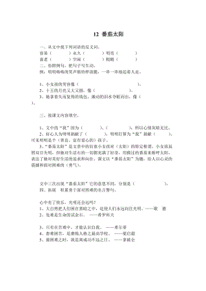 最新12番茄太阳 (2)汇编.doc