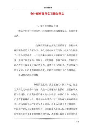 会计师事务所实习报告范文.doc