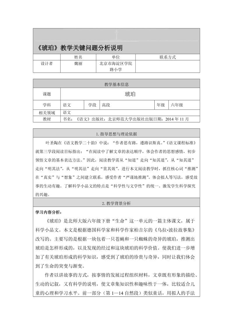 魏丽《琥珀》教学关键问题分析说明[精选文档].doc_第1页