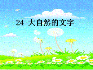 24大自然的文字第二课时[精选文档].ppt