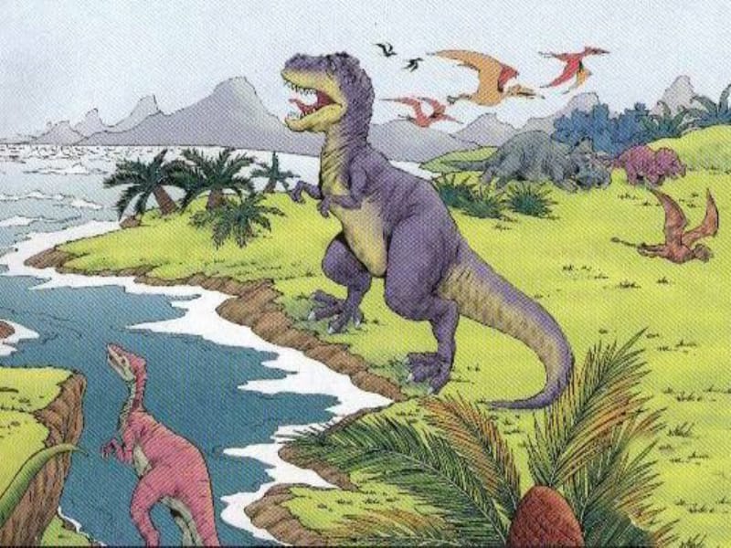 二年级语文恐龙的灭绝（生本达标课）[精选文档].ppt_第3页