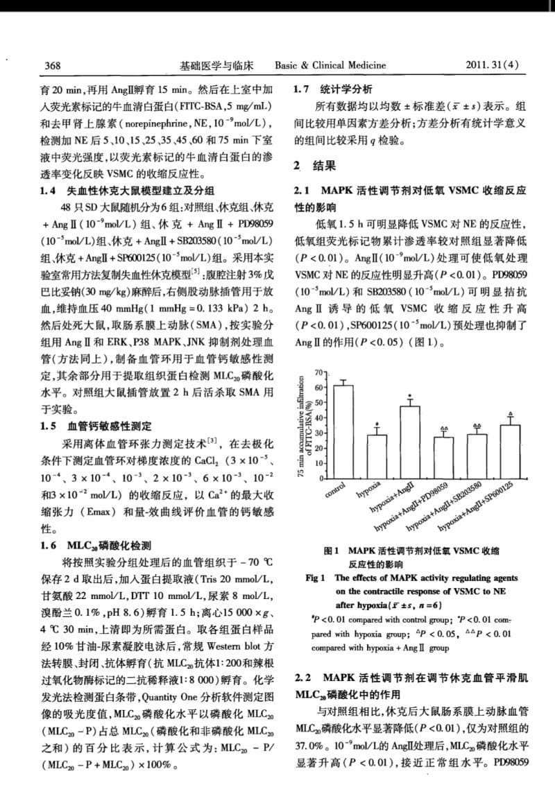 ERK和P38MAPK升高MLC_（20）磷酸化调节大鼠平滑肌低氧反应性.pdf_第3页