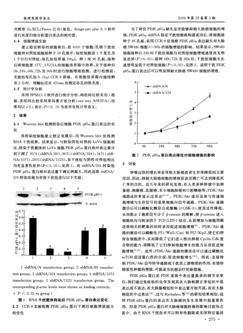 RNA干扰靶向抑制PI3Kp85α蛋白对大肠癌细胞增值的影响.pdf_第2页