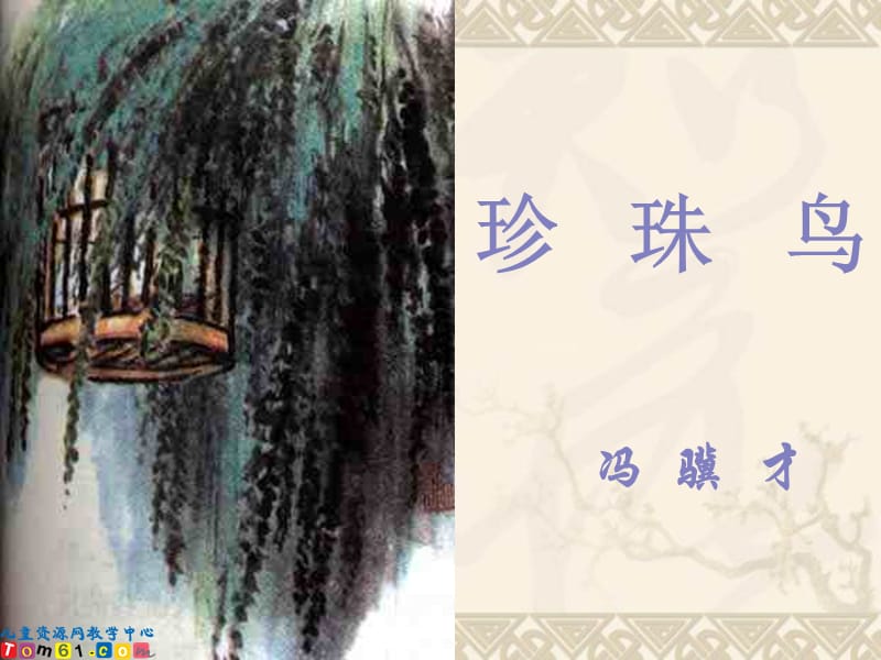 《珍珠鸟》教学课件07.ppt_第1页