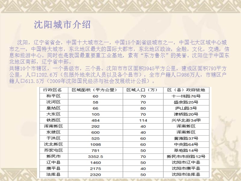 2010年沈阳滨河美食街项目评估报告(终稿).ppt_第1页