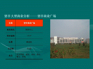 2011年江苏省苏州市望亭、东桥市场调查报告（17页）.ppt