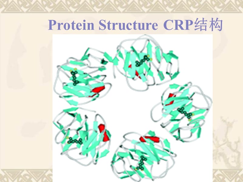 C-反应蛋白及临床应用.ppt_第1页
