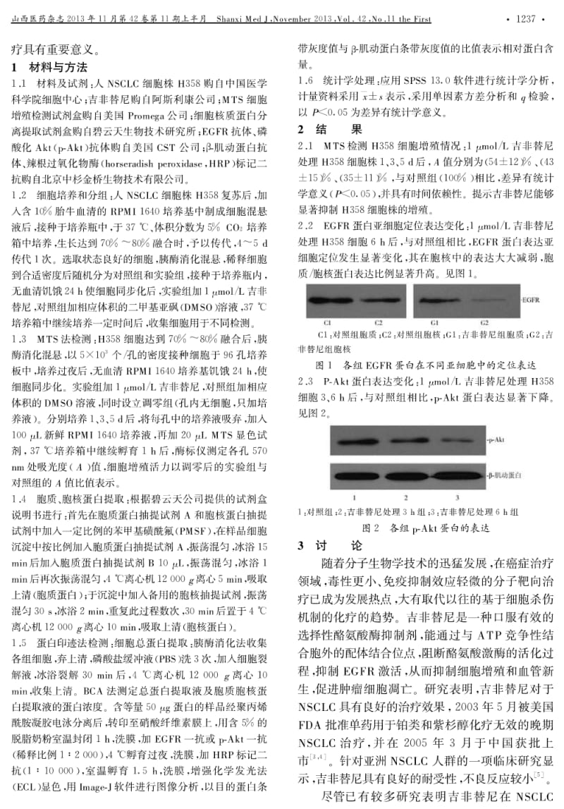 吉非替尼对非小细胞肺癌细胞株H358增殖的影响及其作用机制.pdf_第2页