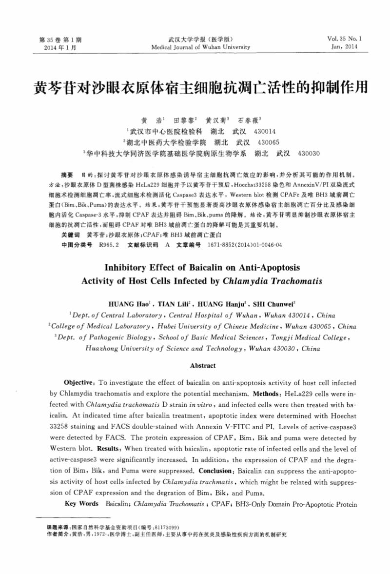 黄芩苷对沙眼衣原体宿主细胞抗凋亡活性的抑制作用.pdf_第1页