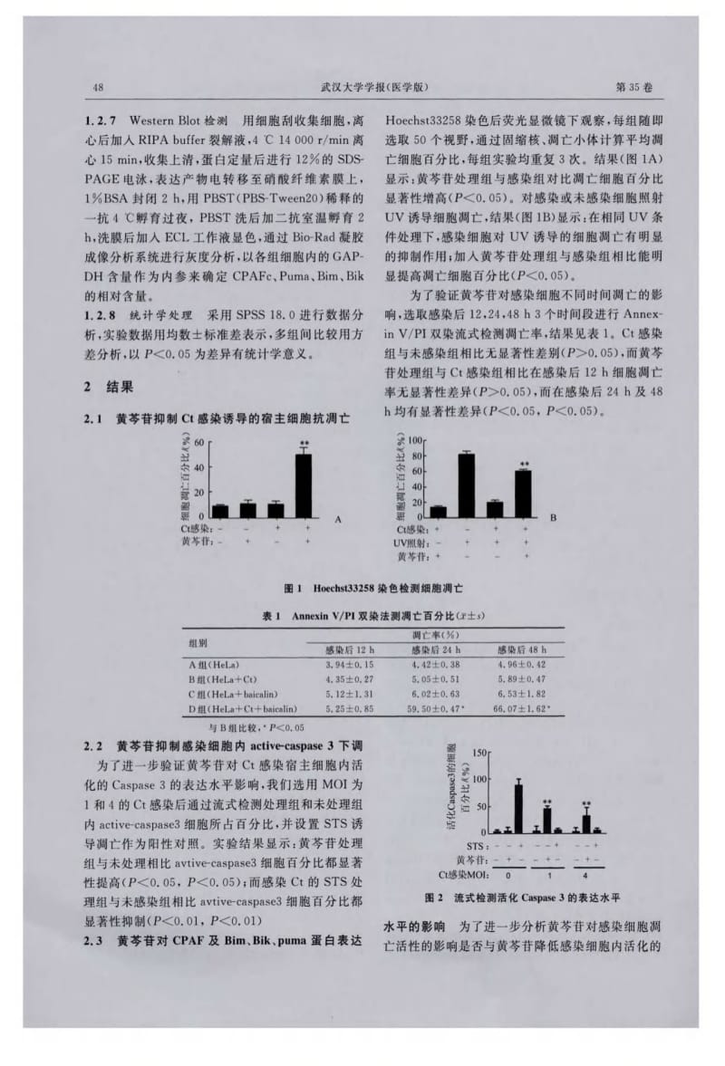 黄芩苷对沙眼衣原体宿主细胞抗凋亡活性的抑制作用.pdf_第3页