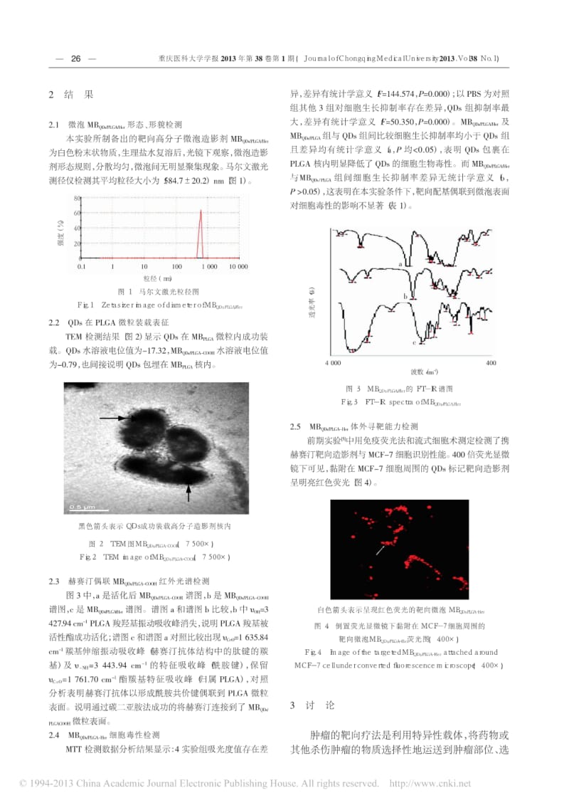 携量子点靶向高分子微泡造影剂制备及体外细胞实验研究.pdf_第3页