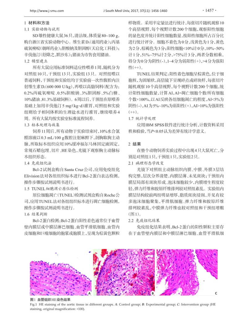 辛伐他汀通过上调动脉粥样硬化大鼠血管壁Bcl-2蛋白的表达而抑制细胞凋亡.pdf_第2页