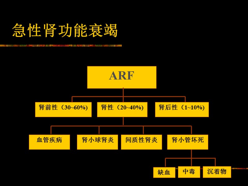 急性肾功能衰竭.ppt名师编辑PPT课件.ppt_第3页