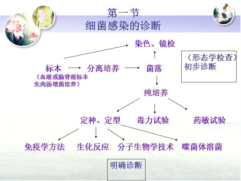 第8章细菌感染的检查方法与防治原则名师编辑PPT课件.ppt_第3页