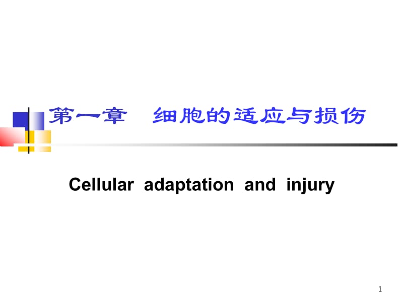 第一章细胞的损伤与适应名师编辑PPT课件.ppt_第1页