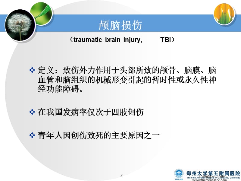 第五部分神经系统常见病损的康复第二部分颅脑损伤的康复教学课件名师编辑PPT课件.ppt_第3页