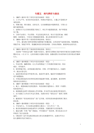 山东省德州市2018年中考语文专题复习五蹭辨析与修改测试20180428213.doc