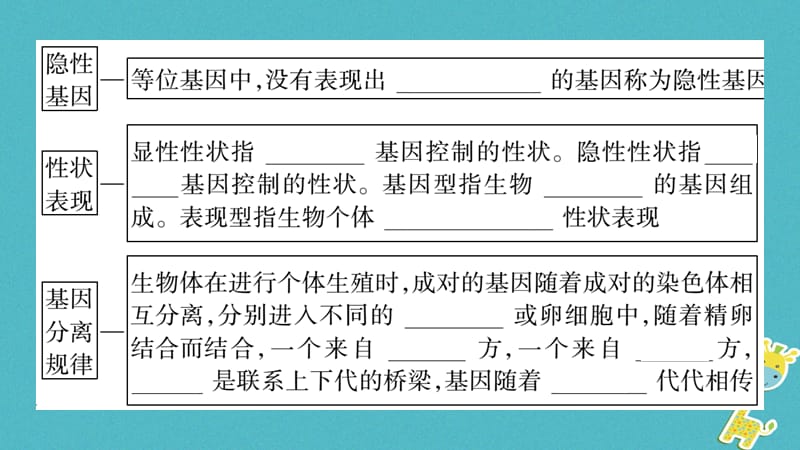 广西省2018年八年级生物上册第6单元第20章第3节性状遗传有一定的规律课件新版北师大版.pptx_第2页