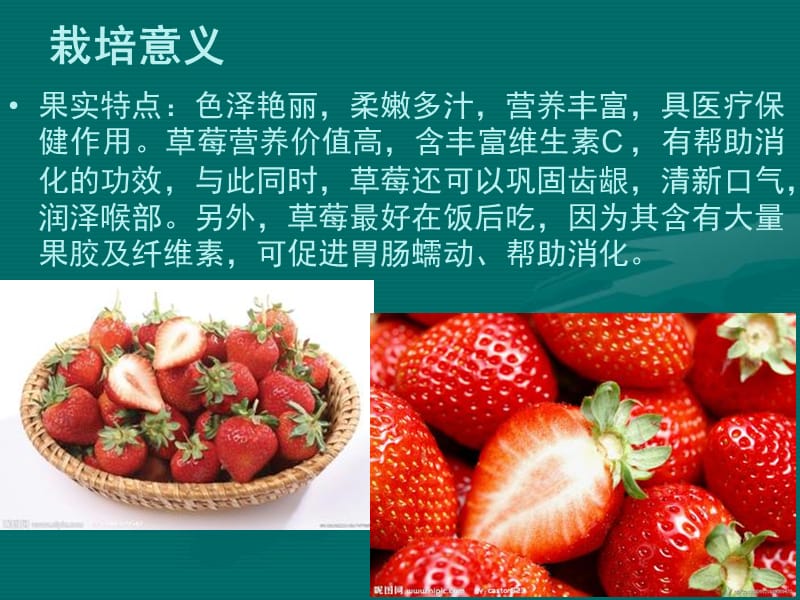 草莓品种及生产技术.ppt_第2页