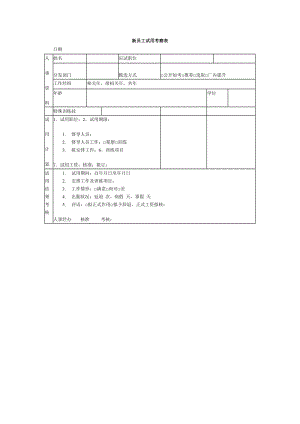 新员工试用考察表.doc