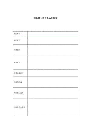 税收筹划项目总体计划表（表格模板、doc格式）.doc