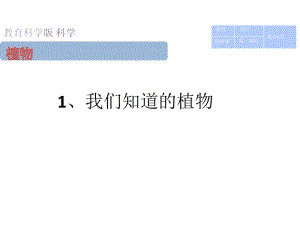 一年级上册科学说课课件-1.1我们知道的植物 l 教科版 (共13张PPT)-教学文档.ppt