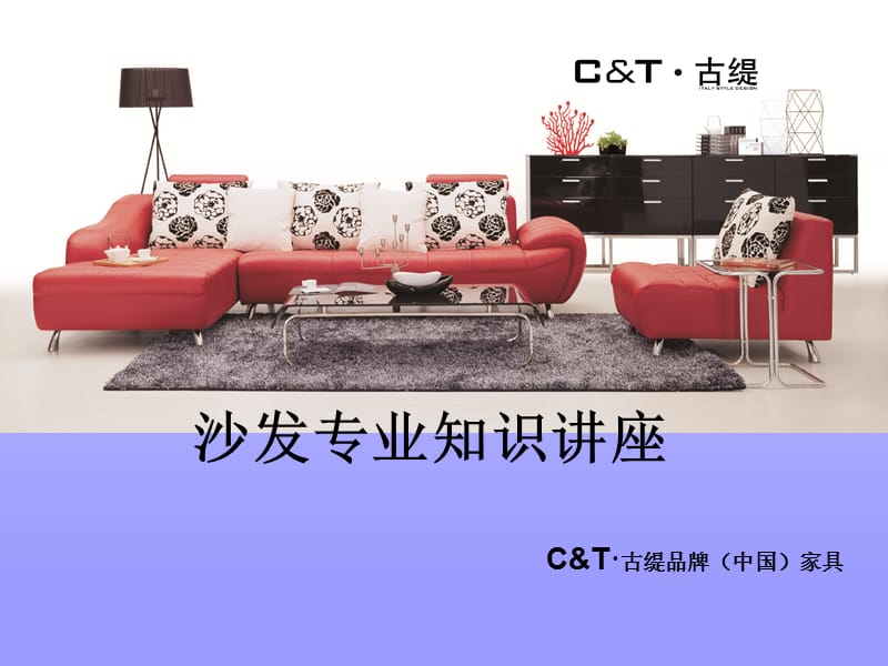 C&ampT·古缇品牌（中国）家具-沙发专业知识讲座.ppt_第1页