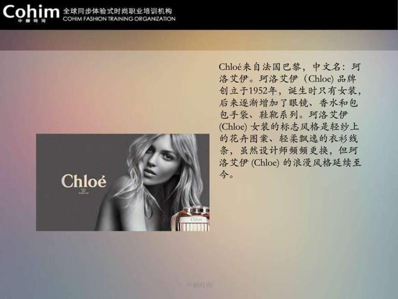 chloe品牌学习图文.ppt15.ppt_第2页