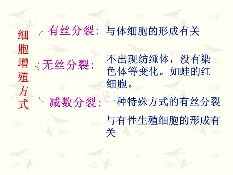 2018年减数分裂和有性生殖细胞的形成-文档资料.ppt_第1页