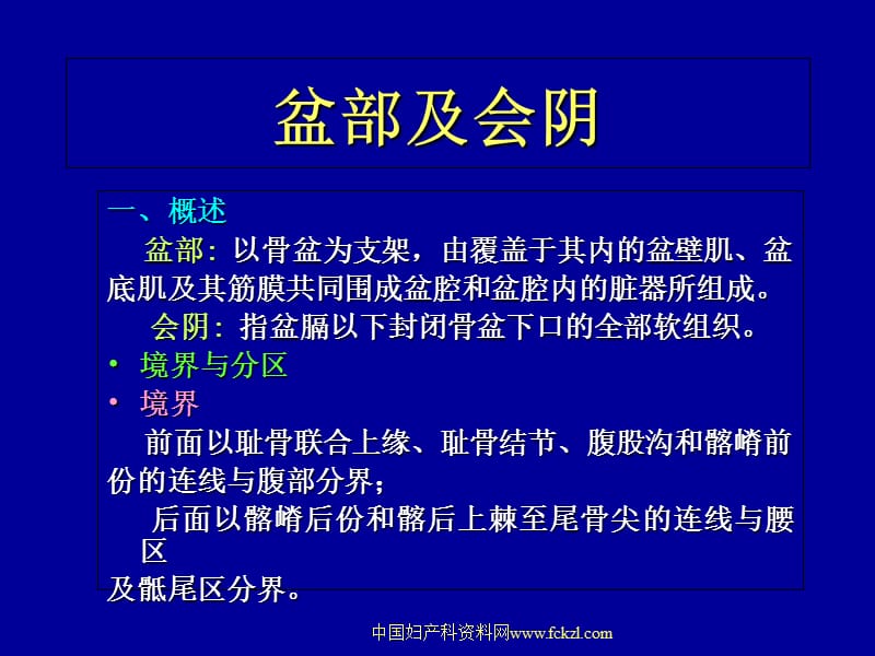 2018年盆部及会阴 中国妇产科的资料网-文档资料.ppt_第2页