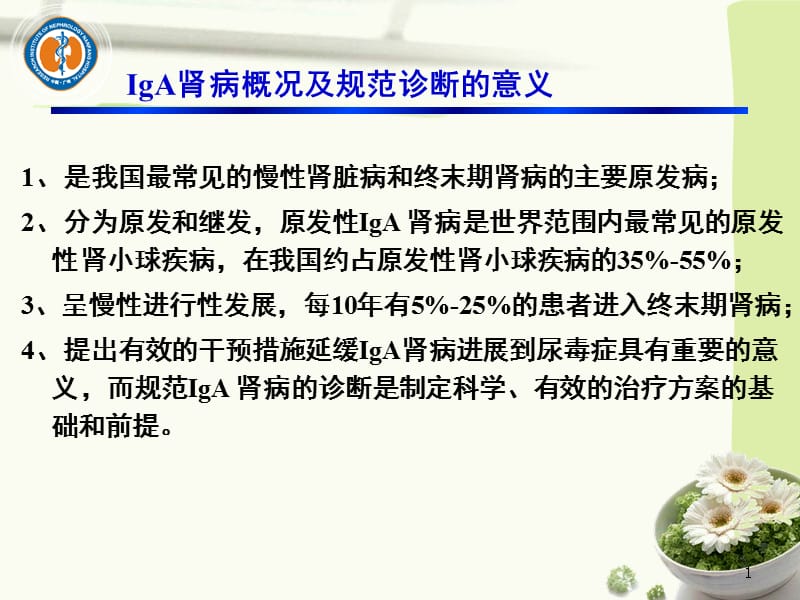 2018年IgA肾病西医诊断和中医辨证分型的实践指南课件-文档资料.ppt_第1页