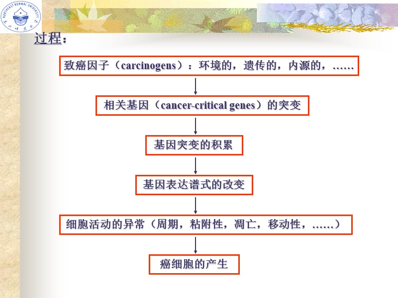 2018年第二节癌细胞-文档资料.ppt_第1页