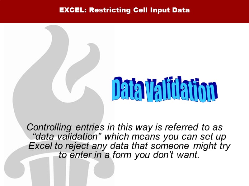 EXCEL Restricting Cell Input Data - Gwinnett County Public SchoolsExcel限制细胞输入数据格威纳特县公立学校-PPT文档.ppt_第3页