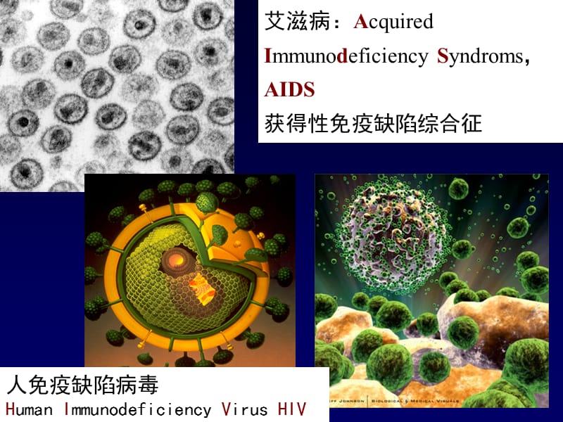 HIV耐药性毒株检测方法和应用 -PPT文档.ppt_第1页