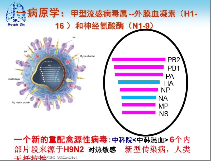 2018年人感染H7N9禽流感诊疗方案-文档资料.ppt_第2页