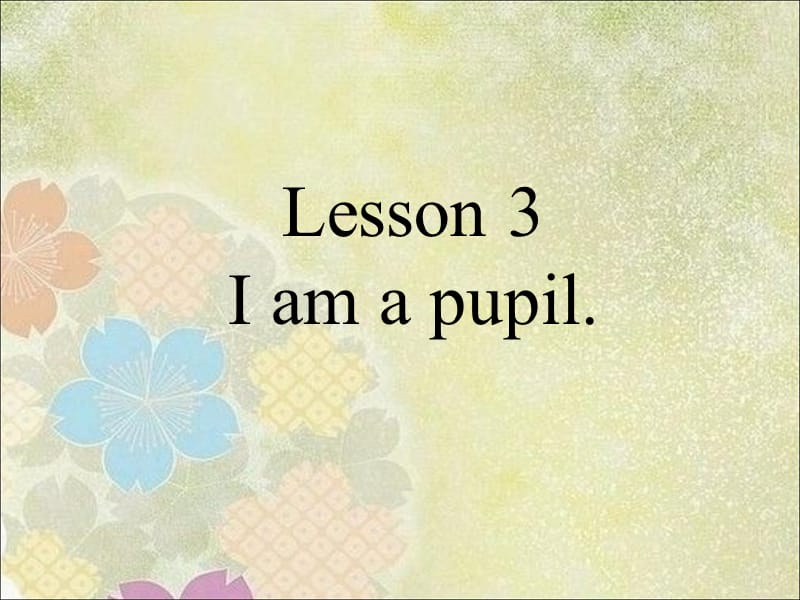 三年级上册英语课件-Lesson 3 I am a pupil 课件 3｜接力版 (共15张PPT).ppt_第1页