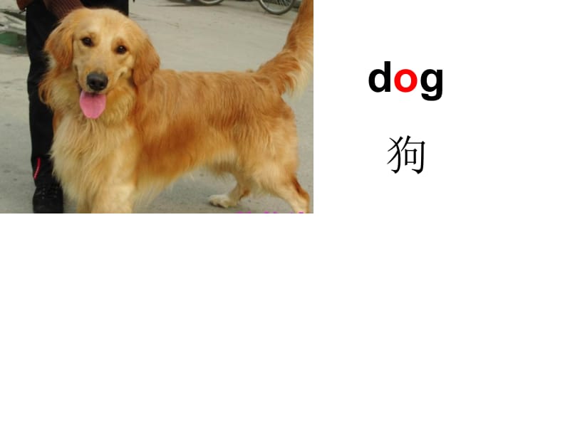 三年级上册英语课件－4.2 Its a black dog ｜外研社（三起） (共27张PPT).ppt_第2页